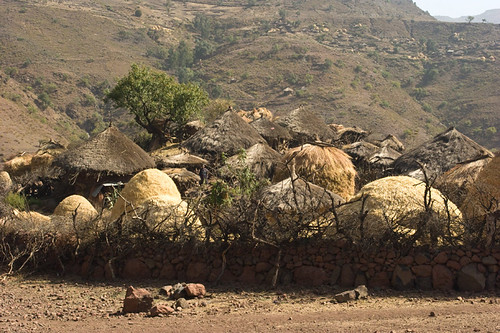 5676371677 7976c55e65